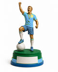 Paintable football champion shown in Argentina colours for today's match
